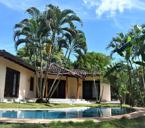 Matapalo Tamarindo 