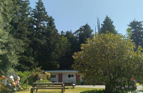 Tofino Hotel | 35 m² Motel ∙ 2 bedrooms ∙ 5 guests