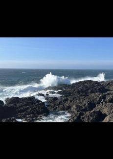 Ucluelet Bed & Breakfast | 46 m² Bed and breakfast ∙ 2 guests