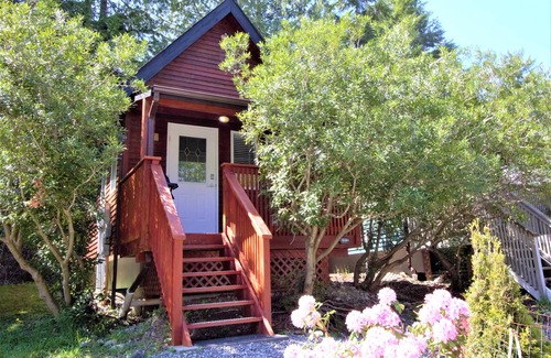 Ucluelet Cabin | Cozy Cabin centrally located close to walking trails and beaches!