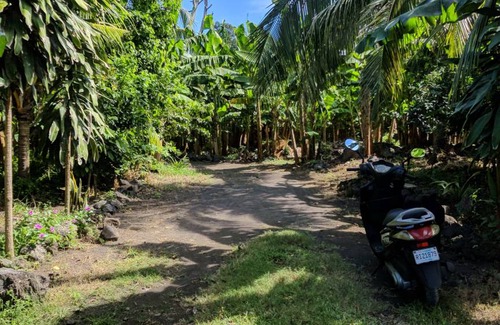 Altagracia Hostel | Hostel ∙ 8 guests