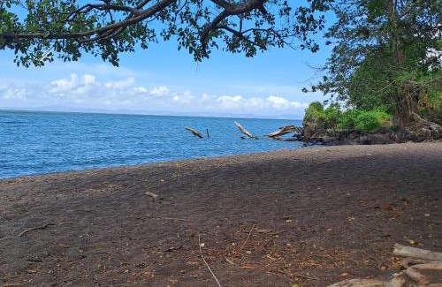 Merida House | Monkey's Island Hostel