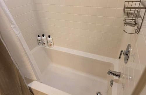 East Village Apartment | 1-BED Apartment Walk to Petco Park, Gazlamp, Convention Center Free Parking, Pool, Hot Tub