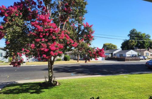 Stockton House | 21 Cozy Home in the Heart of the City