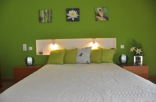 Santa Comba Dao Resort | 24 m² Private room ∙ 1 bedroom ∙ 3 guests