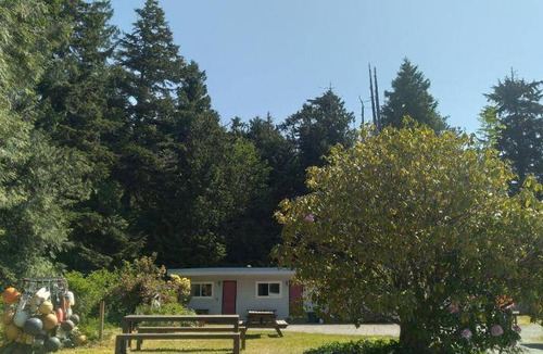Tofino Hotel | 35 m² Motel ∙ 2 bedrooms ∙ 5 guests
