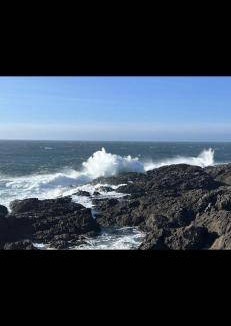Ucluelet Bed & Breakfast | 46 m² Bed and breakfast ∙ 2 guests