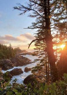 Ucluelet Bed & Breakfast | 46 m² Bed and breakfast ∙ 2 guests