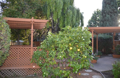 Fremont House | A personal oasis! A single story home in a resort with spacious rooms and yard !