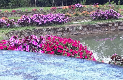 Platanares Cottage | Agua Azul Lodging