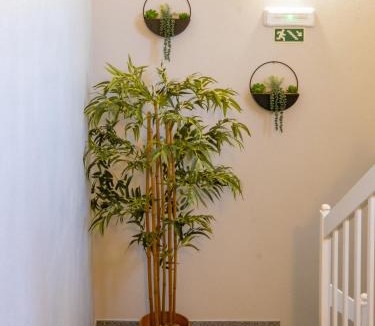 Santa Comba Dao Hotel | AL Restaurante A Lampreia