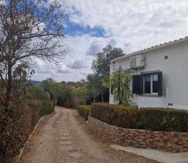 Salir House | Alagoas Park