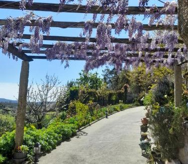 Oliveira de Frades House | Alojamento São Lourenço