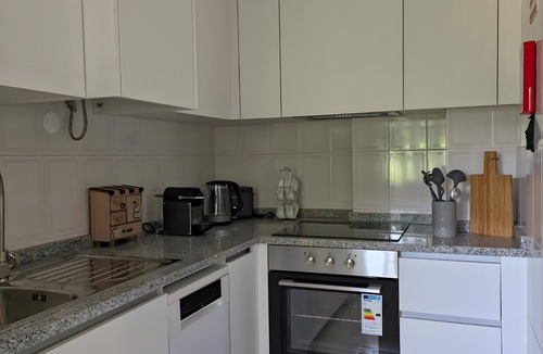 Caldas da Felgueira Apartment | Apartment 'Garça-Real 1' with Balcony
