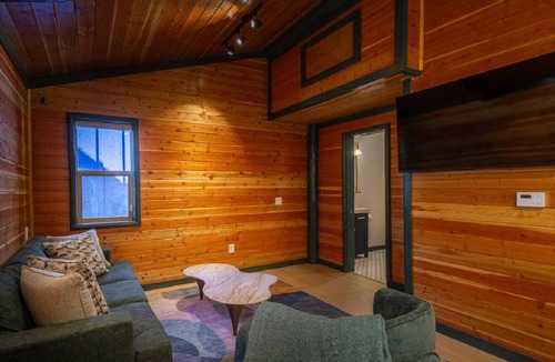 Big Bear Lake Hotel | Arkouda Cabins: Violet-Green Swallow