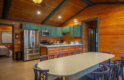 Big Bear Lake Hotel | Arkouda Cabins: Violet-Green Swallow
