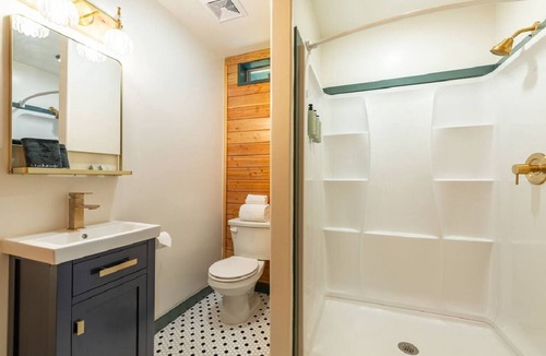 Big Bear Lake Hotel | Arkouda Cabins: Violet-Green Swallow