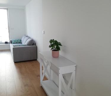 Vera Cruz Apartment | Aveiro Soul & Heart apartment