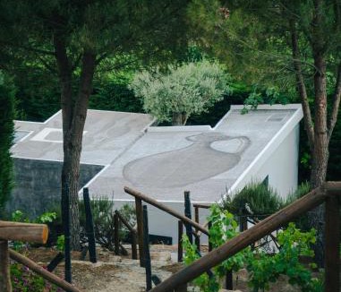 Sao Joao da Pesqueira House | BABhouse Villa Jardim das Oliveiras