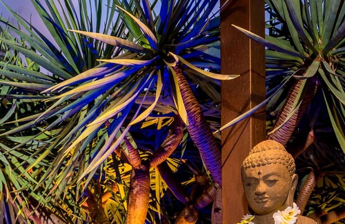 Carrara House | Bali Guesthouse - Couples Retreat (Light Breakfast Incl)