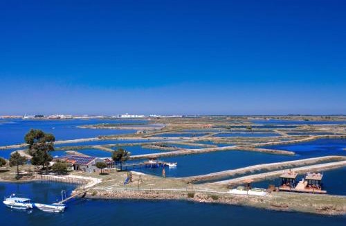 Gloria Boat Rental | Barcos Casa OstrAveiro