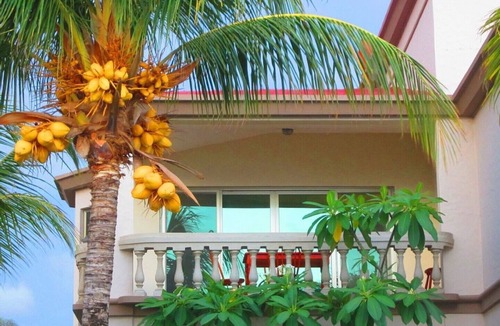 Rancho Santana House | BEACH FRONT Hacienda Iguana Villa A19 3bd/2ba
