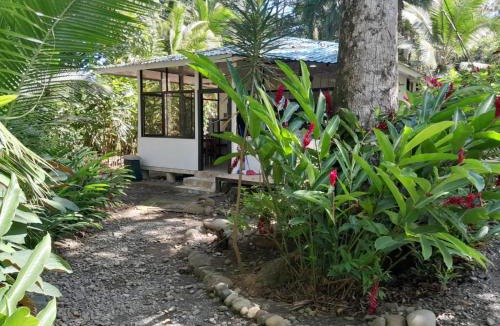Punta Uva Apartment | Beachfront Apartment Punta uva