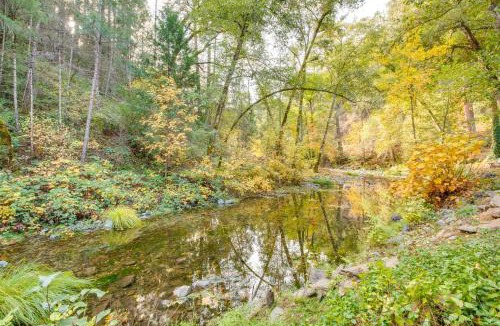 Sutter Creek House | Bear Lodge Waterfront Cabin w/Level 2 EV Charger