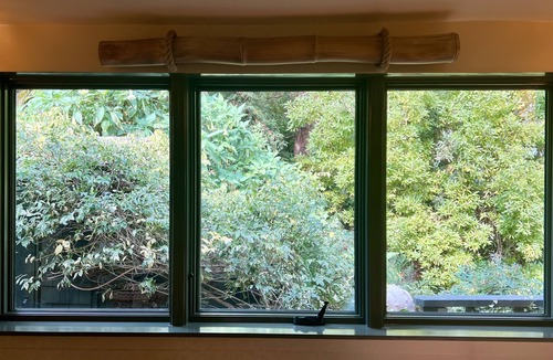 Mill Valley House | Beautiful Home w/Lush Gardens