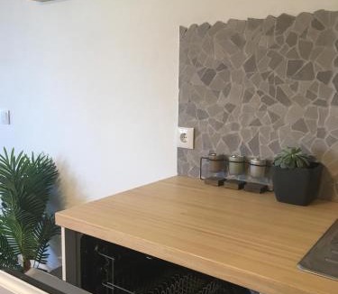 Praia de Mira House | Bico das flores