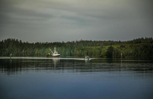 Ucluelet Apartment | Black Rock Landing