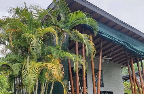 Ballena House | Bungalow with kitchen and infinity pool with ocean view, small BnB