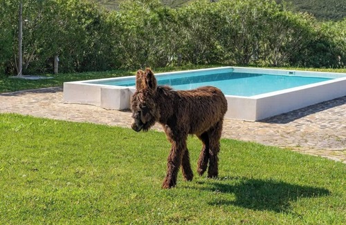 Portimao Apartment | Burro Ville by Host Wise - Peaceful House w/Pool