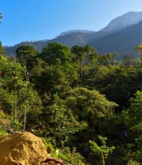 Cajon Other | Cabaña el Chapuzón montaña y rio, lugar fresco