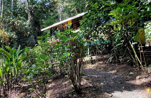 Chiguata Cabin | Cabaña Green Macaw - Jungle Retreat w/Plunge Pool
