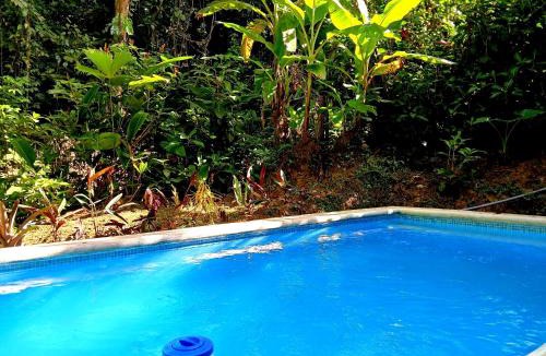 Chiguata Ski Chalet | Cabaña Paraiso Encontrado - Jungle Retreat w Pool