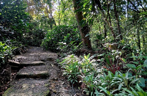 Chiguata Cabin | Cabaña Plumeleteer - Hidden Jungle Cabin & Pool