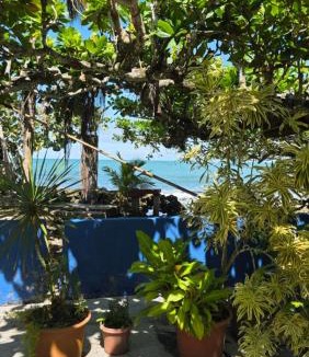 Cahuita House | Cabinas Jenny Cahuita