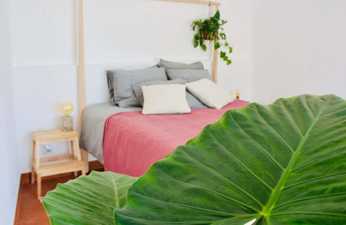 Assafora Apartment | Cala Benirràs (1 bedroom) Apartment (max. 3 persons)