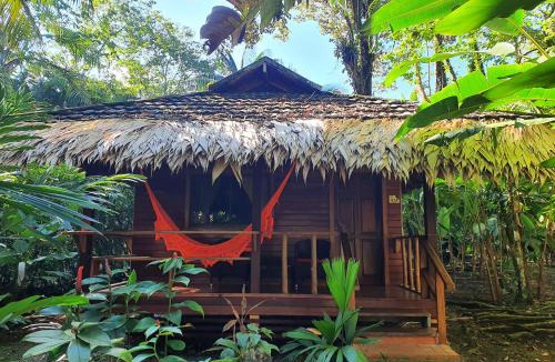 Cocles Hotel | Cariblue Beach and Jungle Resort