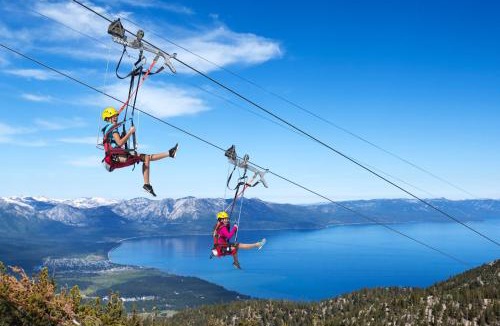 Tahoe Paradise House | Caring Bear Cabin - games pets wheelchair -friendly