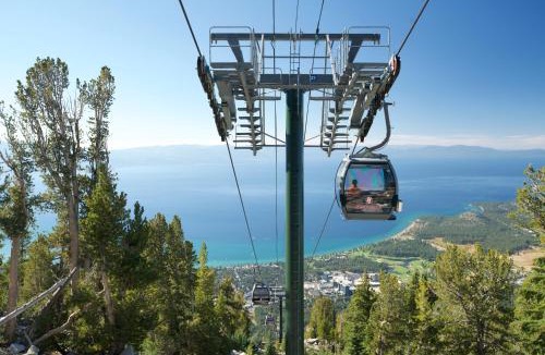 Tahoe Paradise House | Caring Bear Cabin - games pets wheelchair -friendly
