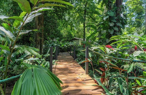 Manzanillo House | Casa Auratus: Jungle Paradise Near Gandoca Refuge