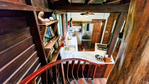 Manzanillo House | Casa Auratus Manzanillo wildlife