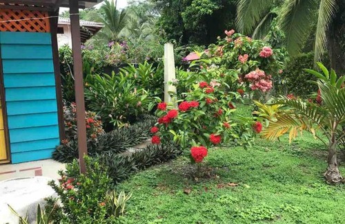 Puerto Viejo de Talamanca House | Casa Caribeña (Puerto Viejo Talamanca)