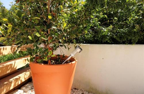 Ericeira House | Casa com pátio-São Lourenço-Ericeira
