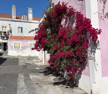 Belem Apartment | Casa Cor de Rosa