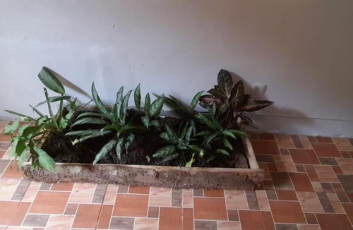 Puerto Viejo de Talamanca Apartment | Casa Cristy