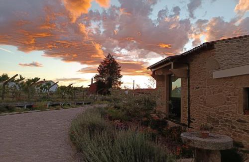 Sendim House | Casa D'Augusta - Agroturismo