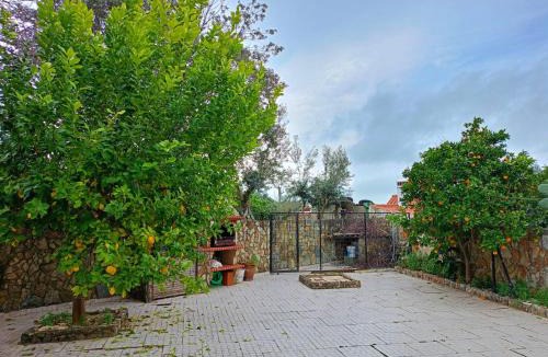Portalegre House | Casa D Dinis by NaturAlegre